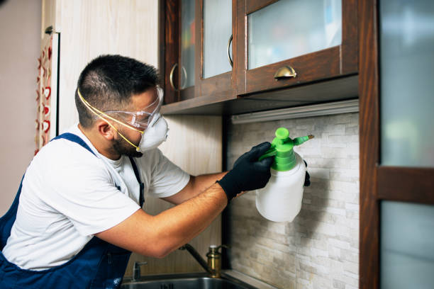 Best Pest Prevention Services  in Old Miakka, FL