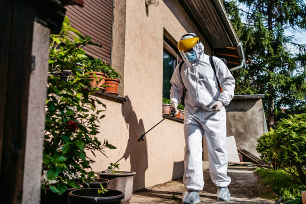 Best Pest Inspection Near Me  in Old Miakka, FL