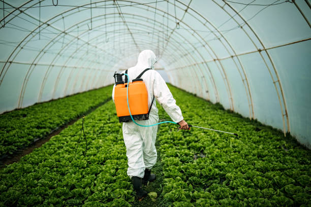 Best Best Pest Control Companies  in Old Miakka, FL