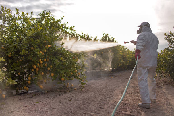  Old Miakka, FL Pest Control Pros