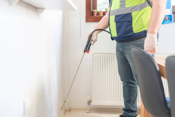 Best Affordable Pest Control Services  in Old Miakka, FL