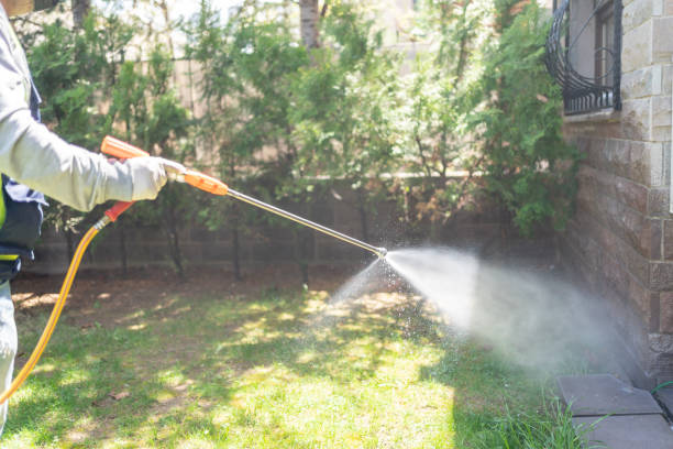 Best Pest Control Near Me in Old Miakka, FL